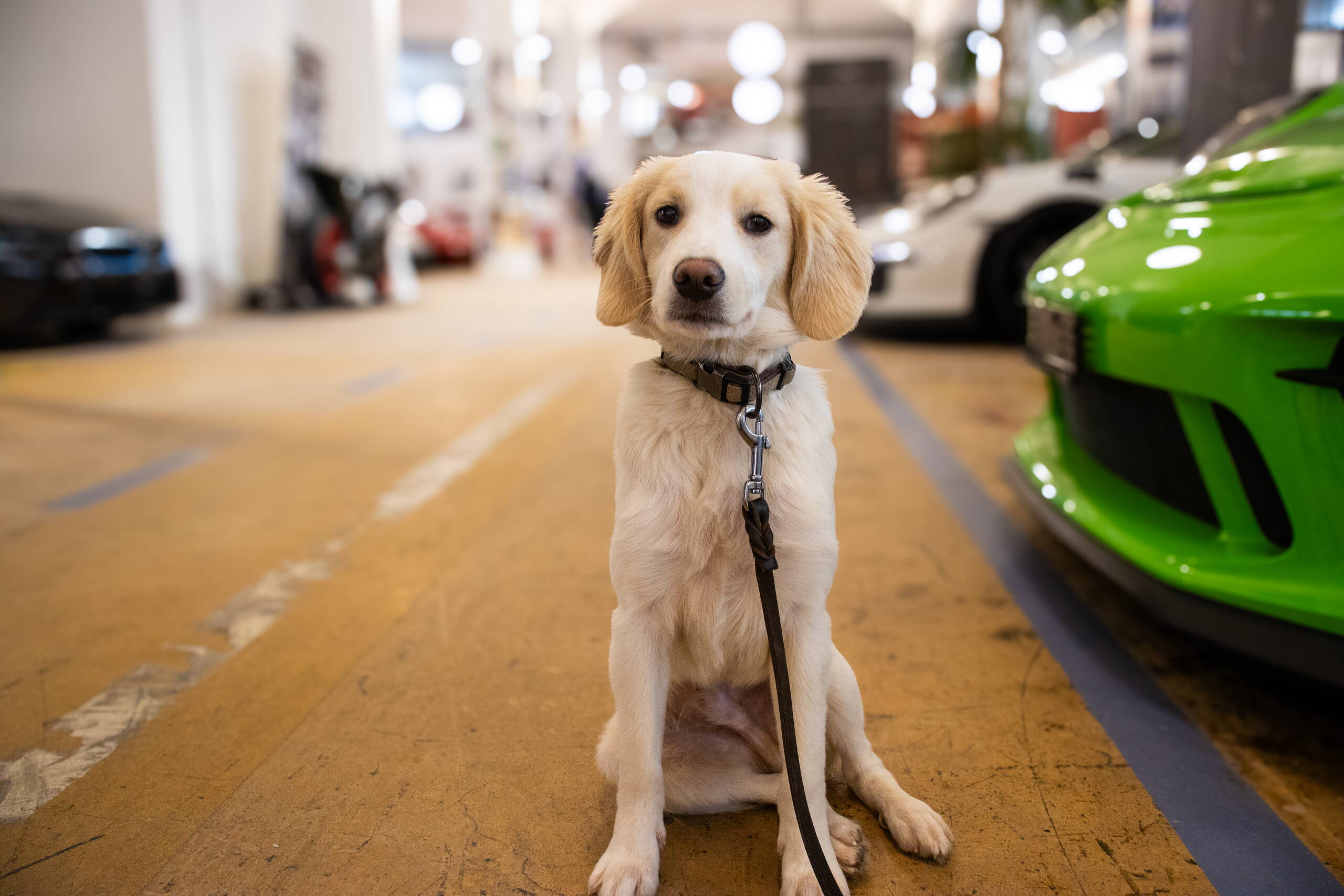 the valley eventfactory_Nicole Schindler-Kaul