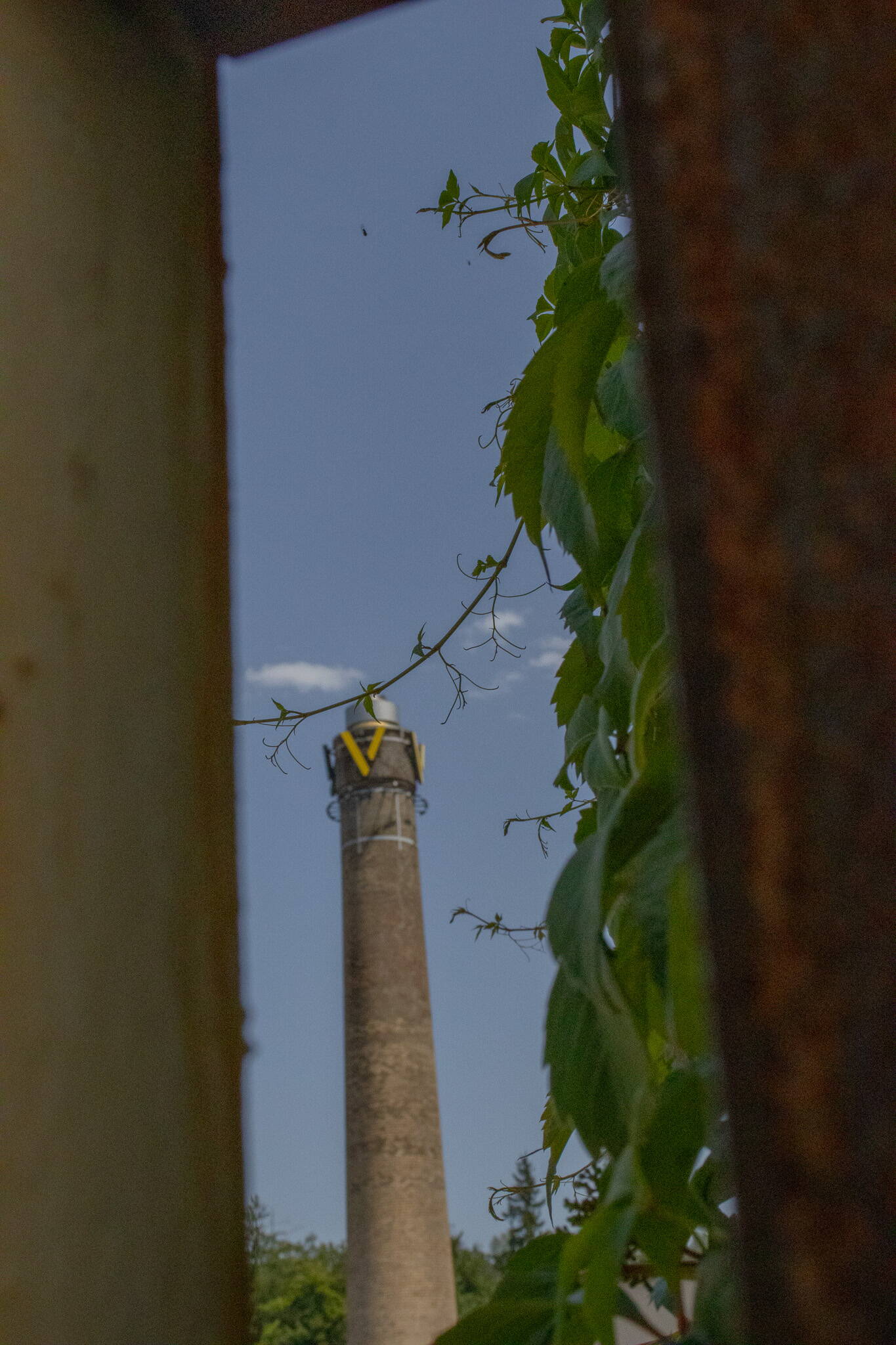 pioneers_deck11.jpg pioneers_deck11.jpg